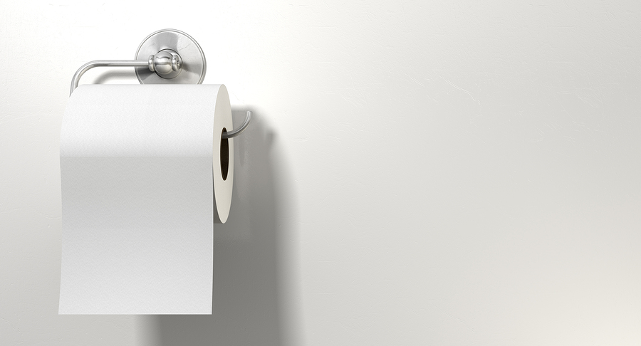 Toilet Paper Roll On Chrome Hanger