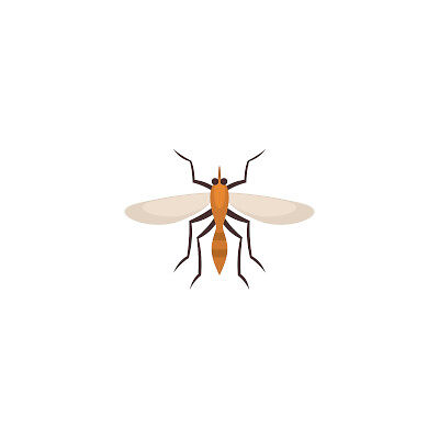 bigstock-Brazil-Mosquito-Icon-Flat-Ill-400400.jpg