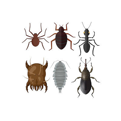 crawlingbugs200200.jpg