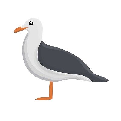 bigstock-Seagull-Icon-Cartoon-Of-Seagu-400x400-removebg-preview.png