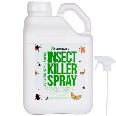 Insect Killer Spray 5L X 1.jpg