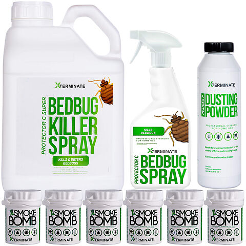 Bed bug killing kit