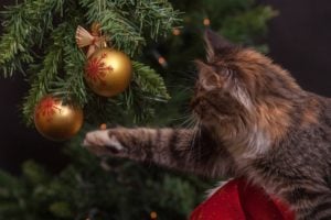 decorated christmas tree with a cat